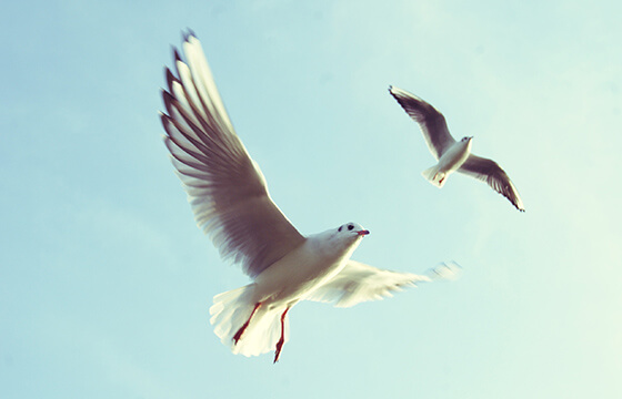 blog01